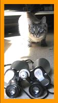 Cute cat and small binoculars.
Cat with binoculars.
Joli chat avec jumelles.
Hubsche katze mit fernglas.
Bonito gato con binoculares.
Bonito gato con prismaticos.
Vacker katt med kikare.
Grazioso gatto con binocolo.
Kat met verrekijker.
Katt med kikkert.
Kot z lornetka.
Kocka s dalekohled.
Mand med kikkert.
Macska tavcsovel.
Kissa kiikariella.
Gato com binoculos.
Kakis ar binokli.
kate su ziuronu.