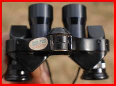 Swift Sport 6x15 binoculars
Swift Sport 6x15 jumelles.
Swift Sport 6x15 fernglas.
Swift Sport 6x15 binocolo.
Swift Sport  6x15 binoculars.
Swift Sport 6x15 prismaticos.
Swift Sport 6x15 kikkert.
Swift Sport 6x15 verrekijker.
Swift Sport 6x15 kiikarit.
Swift Sport 6x15 kikare.
Swift Sport 6x15 dylbi.
Swift Sport 6x15 dvogled.
Swift Sport 6x15 dalekohled.
Swift Sport 6x15 binoklis.
Swift Sport 6x15 ziuronai.
Swift Sport 6x15 lornetka.
Swift Sport 6x15 binoclu.
Swift Sport 6x15 durbun.
Swift Sport 6x15 ong nhom. 
Swift Sport miniature binoculars.
Swift Sport binoculars.