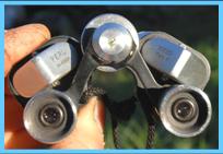 Perl 10x20 binoculars.
Perl 10x20 jumelles.
Perl 10x20 fernglas.
Perl 10x20 binocolo.
Perl 10x20 binoculares.
Perl 10x20 prismaticos.
Perl 10x20 kikkert.
Perl 10x20 verrekijker.
Perl 10x20 kiikarit.
Perl 10x20 kikare.
Perl 10x20 dylbi.
Perl 10x20 dvogled.
Perl 10x20 dalekohled.
Perl 10x20 binoklis.
Perl 10x20 ziuronai.
Perl 10x20 lornetka.
Perl 10x20 binoclu.
Perl 10x20 durbun.
Perl 10x20 ong nhom.
Perl binoculars.