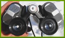 Swallow 12x50 binoculars