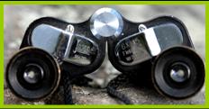 Jason 6x15 binoculars