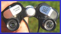 Skymaster 8x20 binoculars.
Skymaster 8x20 jumelles.
Skymaster 8x20 fernglas.
Skymaster 8x20 binocolo.
Skymaster 8x20 binoculares.
Skymaster 8x20 prismaticos.
Skymaster 8x20 kikkert.
Skymaster 8x20 kikare.
Skymaster 8x20 dylbi.
Skymaster 8x20 dvogled.
Skymaster 8x20 dalekohled.
Skymaster 8x20 binoklis.
Skymaster 8x20 ziuronai.
Skymaster 8x20 lornetka.
Skymaster 8x20 binoclu.
Skymaster 8x20 durbun.
Skymaster 8x20 ong nhom.
Skymaster miniature binoculars.
Skymaster binoculars.