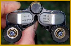 Wolf 6x15 binoculars.
Wolf 6x15 jumelles.
Wolf 6x15 fernglas.
Wolf 6x15 binocolo.
Wolf 6x15 binoculares.
Wolf 6x15 prismaticos.
Wolf 6x15 kikkert.
Wolf 6x15 verrekijker.
Wolf 6x15 kiikarit.
Wolf 6x15 kikare.
Wold 6x15 dylbi.
Wolf 6x15 dvogled.
Wolf 6x15 dalekohled.
Wolf 6x15 binoklis.
Wolf 6x15 ziuronai.
Wolf 6x15 lornetka.
Wolf 6x15 binoclu.
Wolf 6x15 durbun.
Wolf 6x15 ong nhom.
Wolf miniature binoculars.
Wolf binoculars.