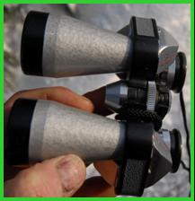 Pallas 10x30 binoculars.
pallas 10x30 fernglas.
Pallas 10x30 jumelles.
Pallas 10x30 kikare.
Pallas 10x30 kikkert.
Pallas 10x30 verrekijker.
Pallas 10x30 binocolo.
Pallas 10x30 prismaticos.
Pallas 10x30 binoculares.
Pallas 10x30 kiikarit.
Pallas 10x30 dylbi.
Pallas 10x30 dvogled.
Pallas 10x30 dalekohled.
Pallas 10x30 binoklis.
Pallas 10x30 ziuronai.
Pallas 10x30 lornetka.
Pallas 10x30 binoclu.
Pallas 10x20 durbun.
Pallas 10x20 ong nhom.
Pallas miniature binoculars.
Pallas binoculars.