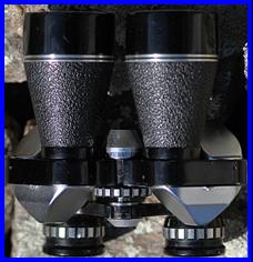 Roy 10x40 Binoculars.
Roy 10x40 jumelles.
Roy 10x40 fernglas.
Roy 10x40 prismaticos.
Roy 10x40 binoculares.
Roy 10x40 binocolo.
Roy 10x40 kikare.
Roy 10x40 kikkert.
Roy 10x40 verrekijker.
oy 10x40 kiikarit.
Roy 10x40 dylbi.
Roy 10x40 dvogled.
Roy 10x40 dalekohled.
Roy 10x40 binoklis.
Roy 10x40 ziuronai.
Roy 10x40 lornetka. 
Roy 10x40 binoclu.
Roy 10x40 durbun.
Roy 10x40 ong nhom.