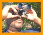 Bird Watching with Binoculars