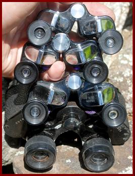 Royal Binoculars.
Royal jumelles.
Royal fernglas.
Royal binocolo.
Royal binoculares.
Royal prismaticos.
 Royal kikkert.
Royal verrekijker.
Royal kiikarit.
Royal kikare.
Royal dylni.
Royal dvogled.
Royal dalekohled.
Royal binoklis.
Royal ziuronai.
Royal lornetka.
Royal binoclu.
Royal durbun.
royal ong nhom.