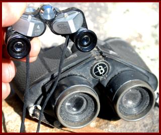 Bushnell binoculars.
Busshnell fernglas.
Bushnell kikare.
Bushnell jumelles.
Bushnell prismaticos.
Bushnell binoculares.
Bushnell binocolo.
Bushnell kikkert.
Bushnell verreijker.
Bushnell kiikarit.
Bushnell dylbi.
Bushnell dvogled.
Bushnell dalekohled.
Bushnell binoklis.
Bushnell ziuronai.
Bushnell lornetka.
Bushnell binoclu.
Bushnell Durbun.
Bushnell ong nhom.t