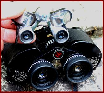 Woodsman binoculars.
Woodsman fernglas. 
Woodsman jumelles.
Woodsman binocolo.
Woodsman kikare.
Woodsman binoculares.
Woodsman prismaticos.
Woodsman kikkert.
Woodsman verrekijker.
Woodsman kiikarit.
Woodsman dylbi.
Woodsman dalekohled.
Woodsman binoklis
Woodsman ziuronai
Woodsman lornetka.
Woodsman binoclu.
Woodsman durbun.
Woodsman ong nhom.