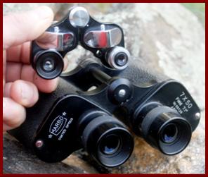 Marbo binoculars.
Marbo jumelles.
Marbo fernglas.
Marbo binocolo.
Marbo binoculares.
Marbo prismaticos.
Marbo kikkert.
Marbo verrekijker.
Marbo kiikarit.
Marbo kikare.
Marbo dylbi.
Marbo dvogled.
Marbo dalekohled.
Marbo binoklis.
Marbo lornetka.
Marbo durbun.
Marbo binoclu.
Marbo ong nhom.