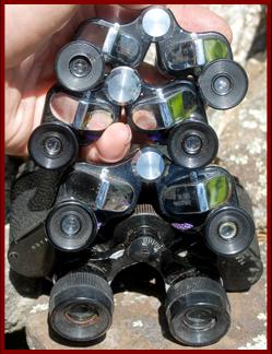 Royal Binoculars.
Royal jumelles.
Royal fernglas.
Royal binocolo.
Royal binoculares.
Royal prismaticos.
 Royal kikkert.
Royal verrekijker.
Royal kiikarit.
Royal kikare.
Royal dylni.
Royal dvogled.
Royal dalekohled.
Royal binoklis.
Royal ziuronai.
Royal lornetka.
Royal binoclu.
Royal durbun.
royal ong nhom.