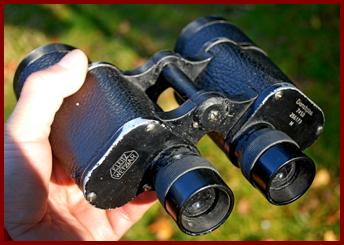 E. Leitz 7x50 German army military binoculars.
E. Leitz 7x50 jumelles militaires de l'armee allemande.
E. Leitz 7x50 militarfernglaser der Bundeswehr.
E. leitz 7x50 binoculares militares del ejercito aleman.
E. Leitz 7x50 Tyska armens militara kikare.
E. Leitz 7x50 binocolo militare dell'esercito Tedesco.
E. Leitz 7x50 verrekijker van het Duitse keger.
E. Leitz 7x50 den tyske haerens militaere kikkert.
E. Leitz 7x50 lornetka wojskowa armii Niemieckiej.
E. leitz 7x50  vojensky dalekohled nemecke armady.
E. Leitz 7x50 den tyske haers militaere kikkert.
E. Leitz 7x50 a nemet hadsereg katonai tavcsovei.
E. Leitz 7x50 Saksan armeijan sotilaskiikarit.
E. Leitz 7x50 binoculos militares do exercito Alemao.
E. Leitz 7x50 vacijas armijas militarais binoklis.
E.Leitz vokietijos armijos kariniai ziuronai.

